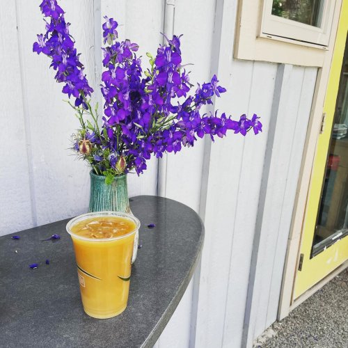 Photo post from equianocoffee.