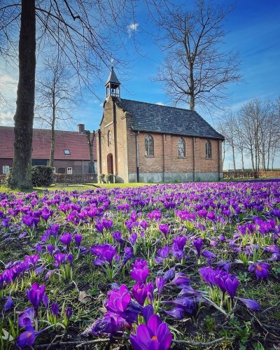 Photo post from visitoirschot.