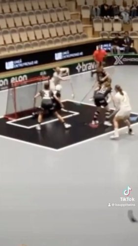 Video post from kauppitwins.