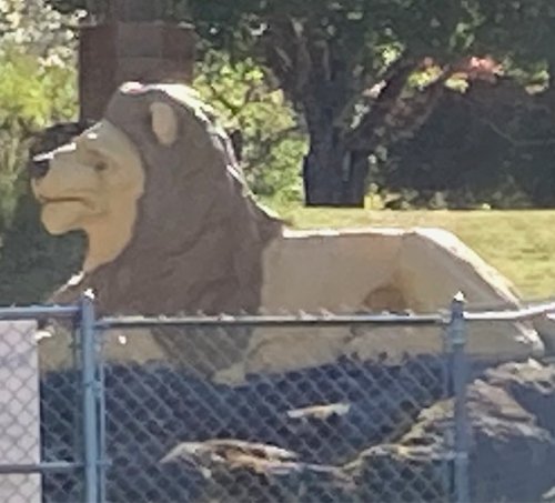 Photo post from shawniganlakemuseum.