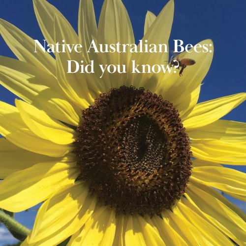 Carousel post from comvita_au.