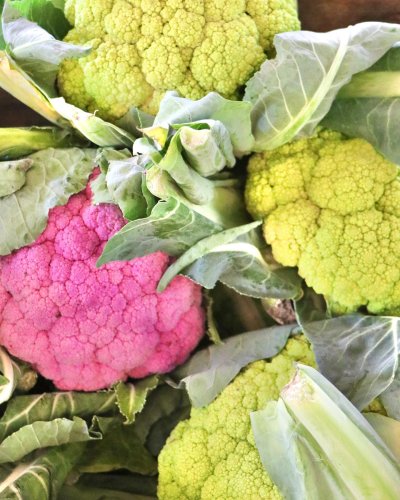 Carousel post from currumbinvalleyharvest.
