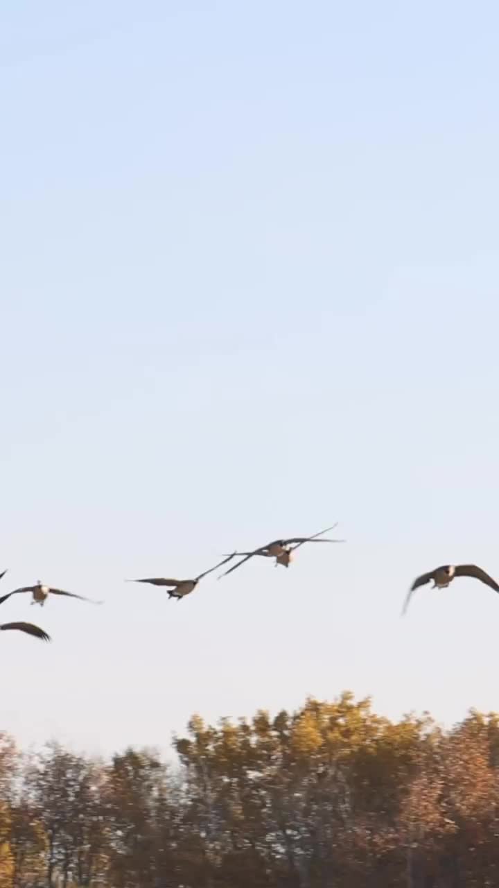 Video post from northernskiesoutfitters.