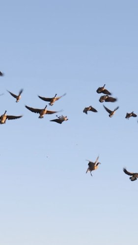 Video post from northernskiesoutfitters.