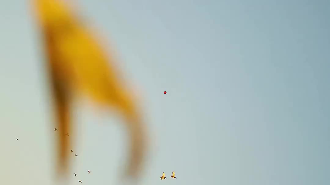 Video post from northernskiesoutfitters.