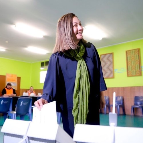 Carousel post from nzgreenparty.