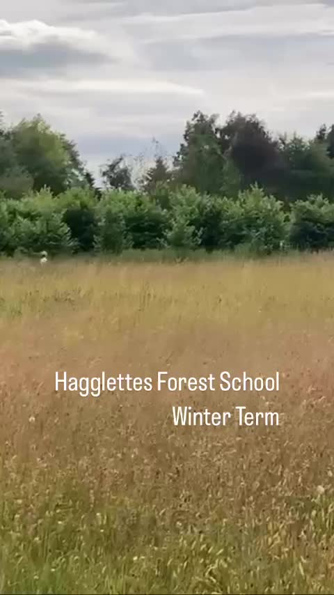 Video post from woodmeadowtrust.