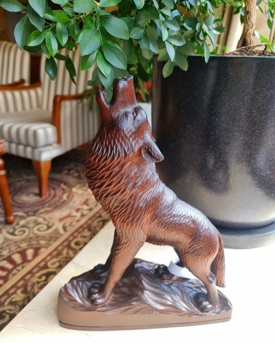 Photo post from padarunak.fond.