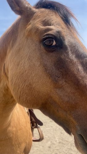 Video post from __amber_lydic__.