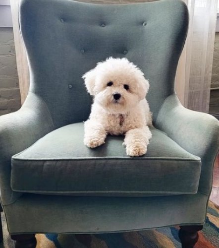 Photo post from hotelonnorth.