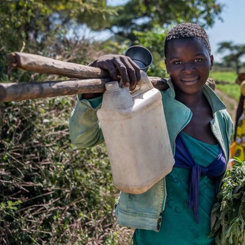 Photo post from unops_official.