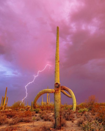 Carousel post from visittucson.
