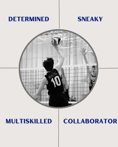 Photo post from epicvball.