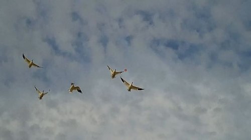 Video post from northernskiesoutfitters.