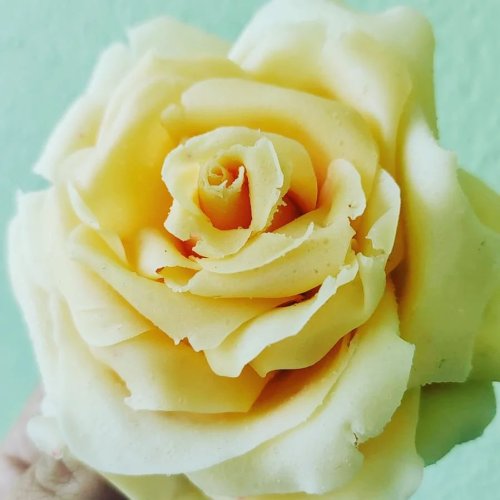 Photo post from lumoreiracursos.