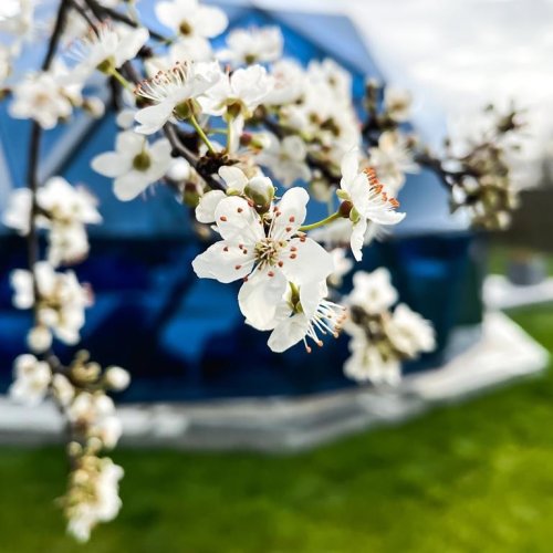 Photo post from glasshouseretreat.