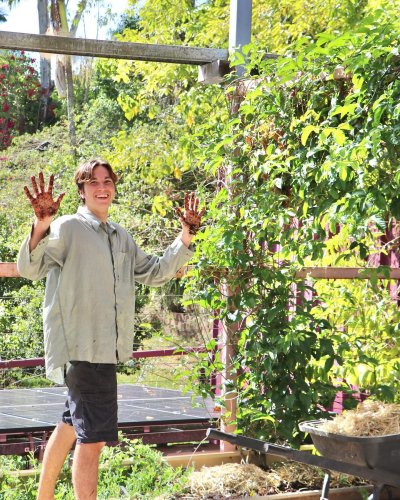 Carousel post from currumbinvalleyharvest.