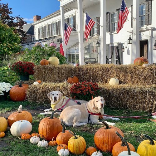 Photo post from dutchesstourism.