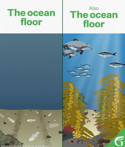 Photo post from nzgreenparty.