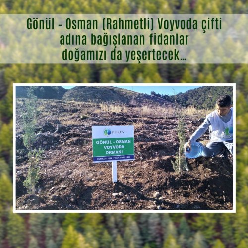 Photo post from dogavecevrevakfi.