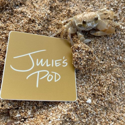 Photo post from jlythcotthaims.