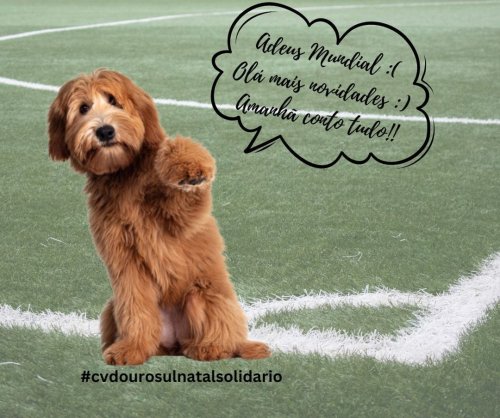 Photo post from clinica_veterinaria_dourosul.