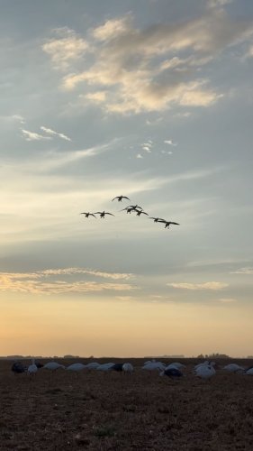 Video post from northernskiesoutfitters.