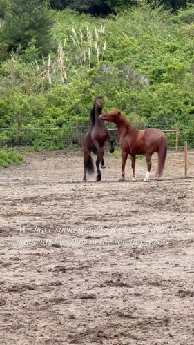 Video post from __amber_lydic__.