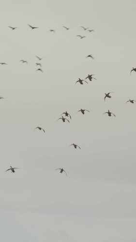 Video post from northernskiesoutfitters.