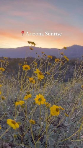 Video post from visittucson.