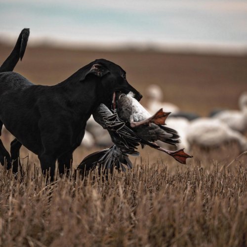 Photo post from northernskiesoutfitters.