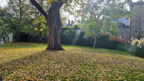 Photo post from wadhamoxford.