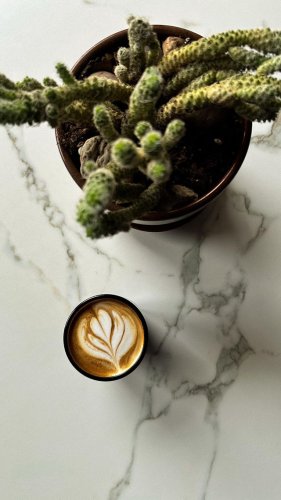 Video post from nordaggioscoffee.