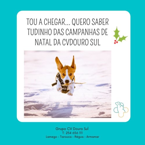 Photo post from clinica_veterinaria_dourosul.