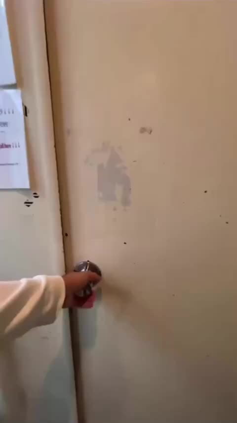 Video post from sharedesignjp.