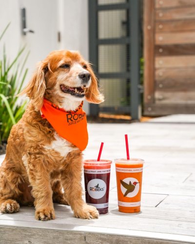 Photo post from robeks.
