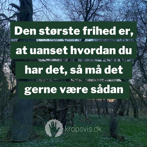 Photo post from kropsvis.