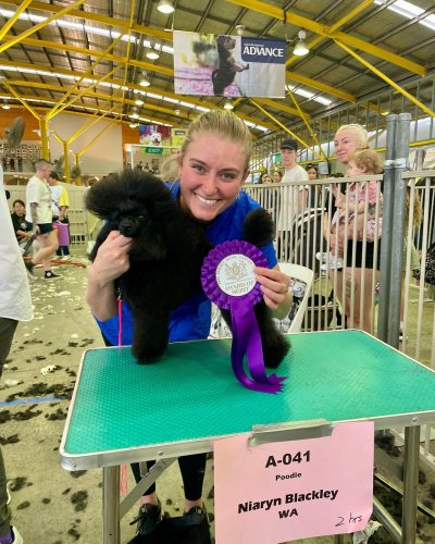 Carousel post from k9playtimedoggydaycare.