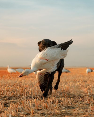 Photo post from northernskiesoutfitters.