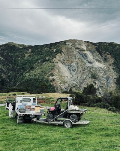 Carousel post from comvita_au.