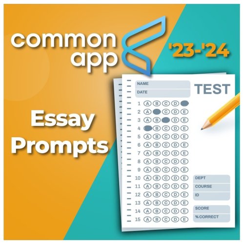 Photo post from knovva_academy.