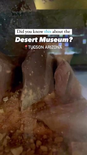 Video post from visittucson.