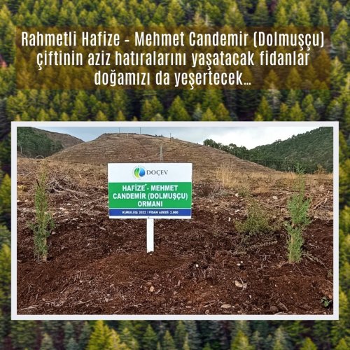 Photo post from dogavecevrevakfi.