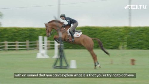 Video post from fei_global.