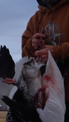 Video post from northernskiesoutfitters.