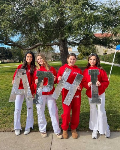 Carousel post from alphaphifoundation.