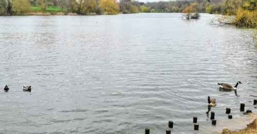 Photo post from kasarstays.