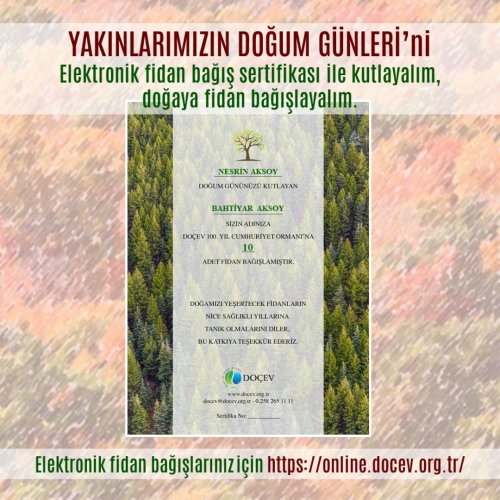 Photo post from dogavecevrevakfi.