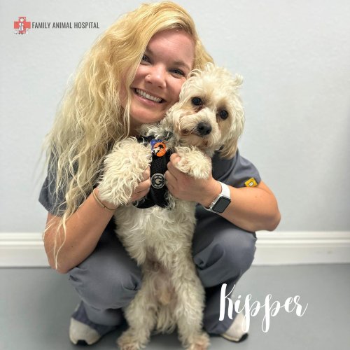 Photo post from familyanimalhospitalcm.