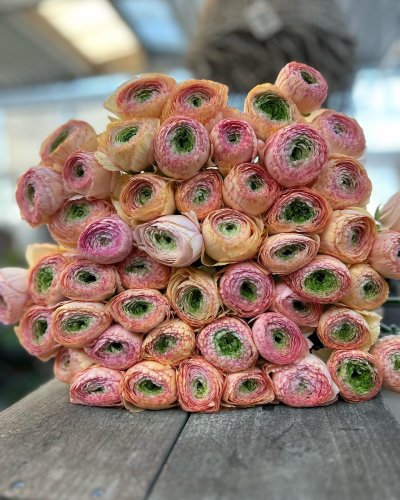 Photo post from blomsterborsen.